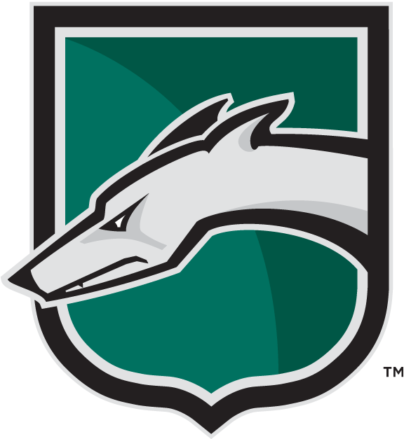 Loyola-Maryland Greyhounds 2002-Pres Alternate Logo v2 iron on transfers for T-shirts